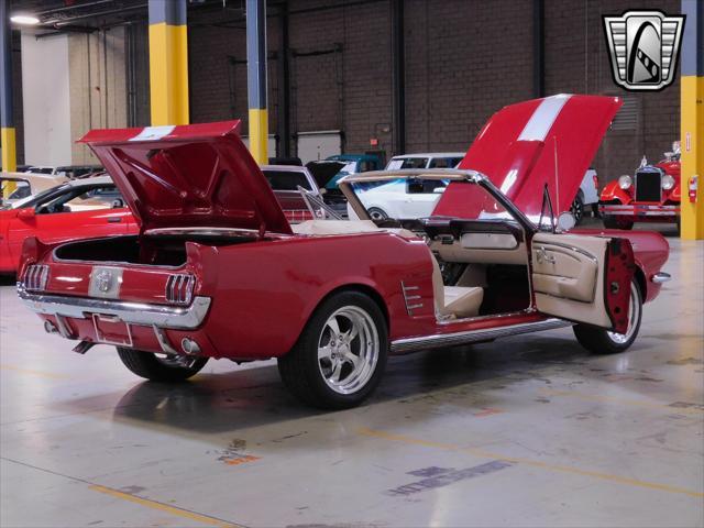 used 1966 Ford Mustang car, priced at $40,000