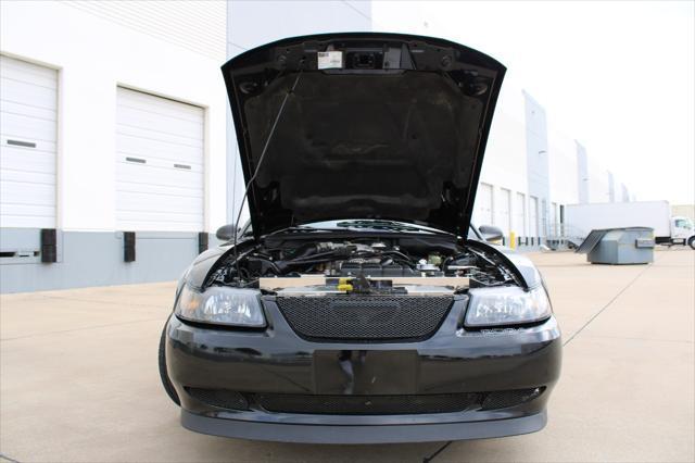 used 2001 Ford Mustang car, priced at $22,000