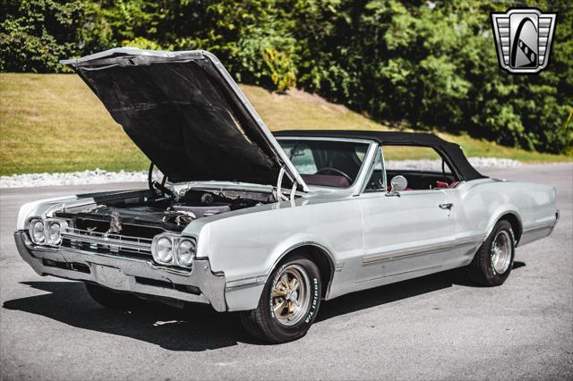 used 1966 Oldsmobile Cutlass car, priced at $24,000