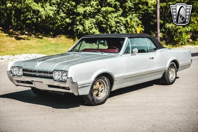 used 1966 Oldsmobile Cutlass car, priced at $24,000