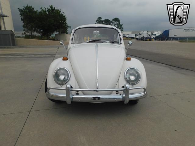 used 1966 Volkswagen Beetle (Pre-1980) car, priced at $30,000