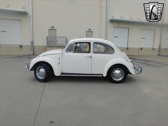 used 1966 Volkswagen Beetle (Pre-1980) car, priced at $30,000