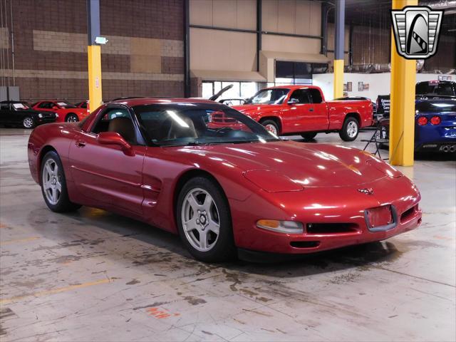 used 1998 Chevrolet Corvette car, priced at $18,000