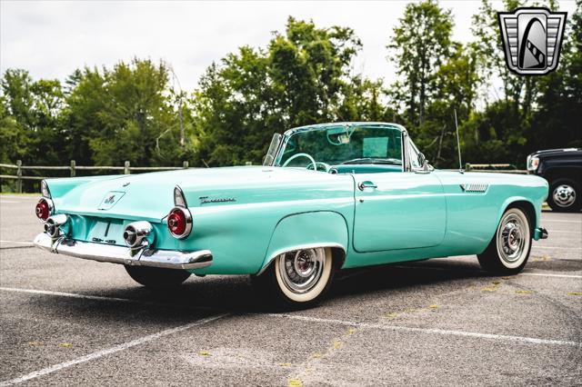 used 1955 Ford Thunderbird car, priced at $50,000