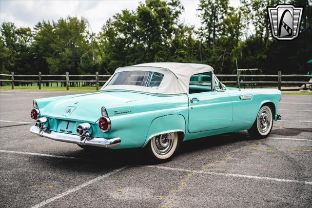 used 1955 Ford Thunderbird car, priced at $50,000