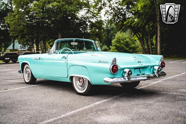 used 1955 Ford Thunderbird car, priced at $50,000