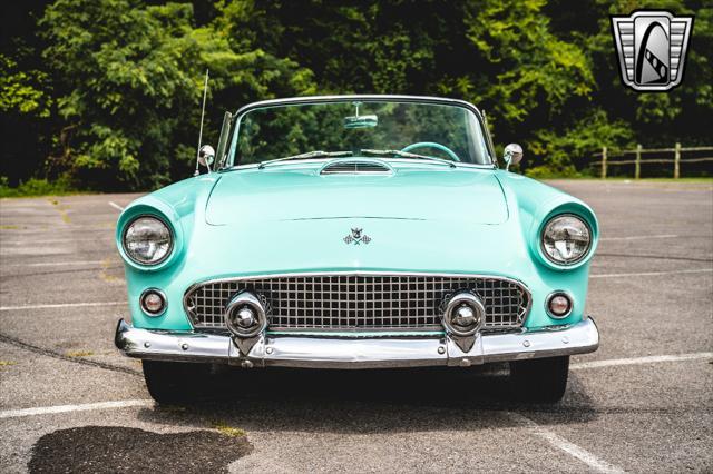 used 1955 Ford Thunderbird car, priced at $50,000