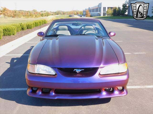 used 1995 Ford Mustang car, priced at $29,000