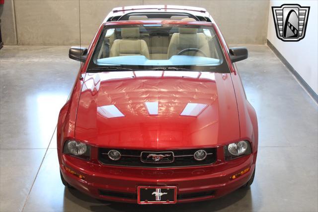 used 2009 Ford Mustang car, priced at $19,500