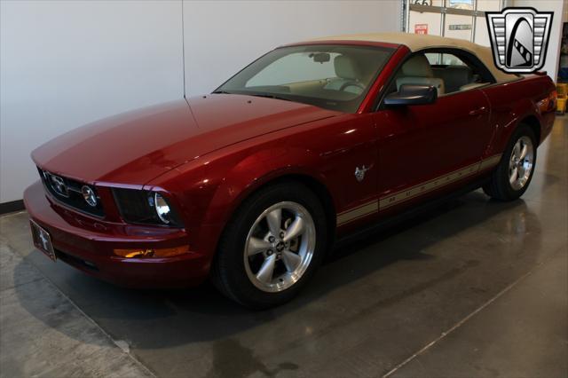 used 2009 Ford Mustang car, priced at $19,500