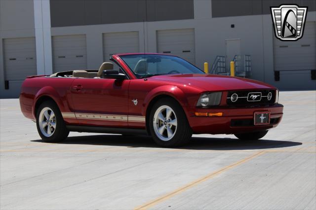 used 2009 Ford Mustang car, priced at $19,500