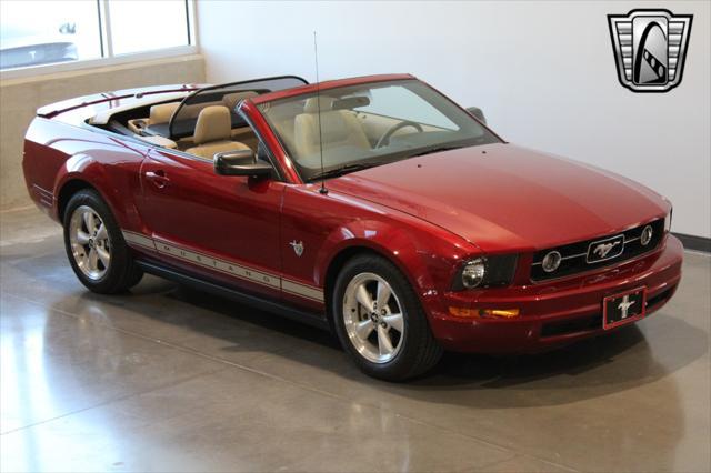 used 2009 Ford Mustang car, priced at $19,500