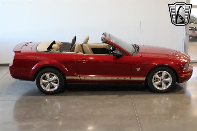 used 2009 Ford Mustang car, priced at $19,500