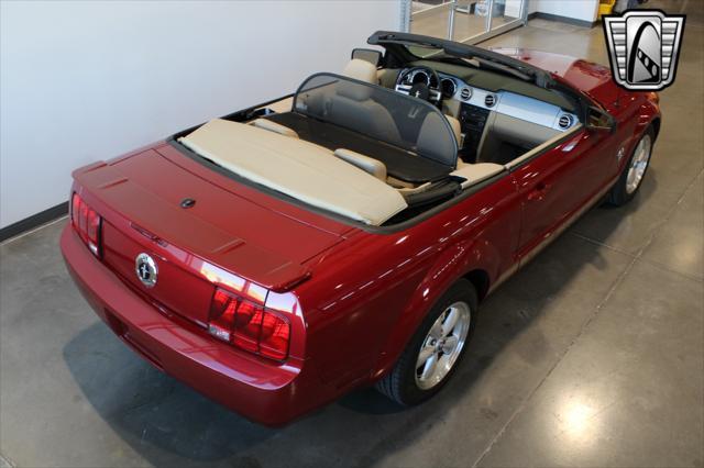 used 2009 Ford Mustang car, priced at $19,500