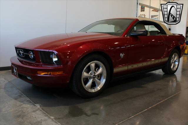 used 2009 Ford Mustang car, priced at $19,500