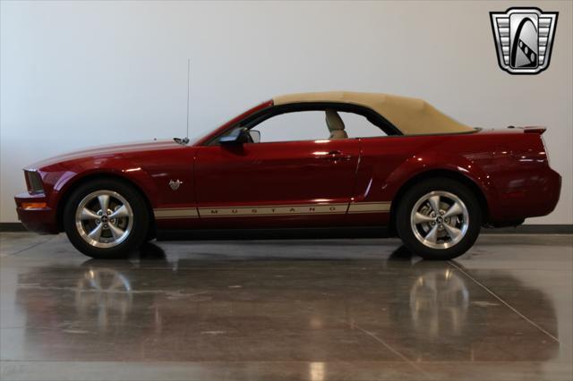 used 2009 Ford Mustang car, priced at $19,500
