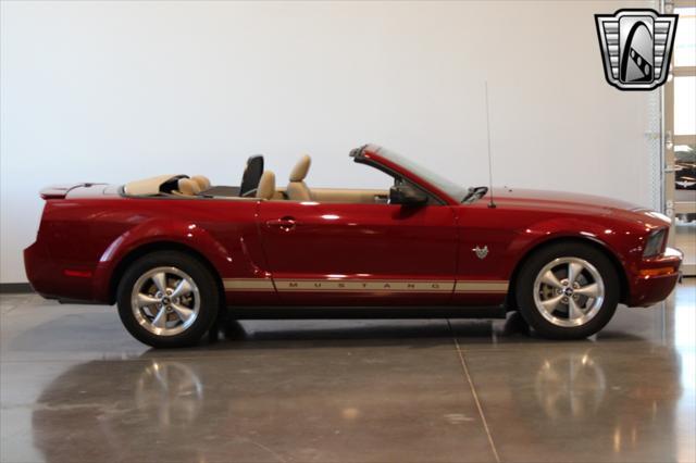 used 2009 Ford Mustang car, priced at $19,500