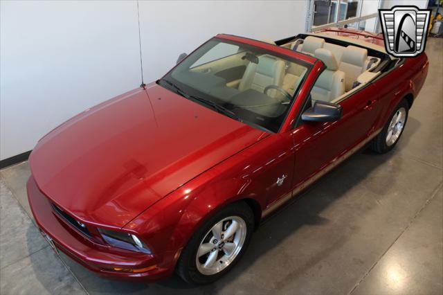 used 2009 Ford Mustang car, priced at $19,500