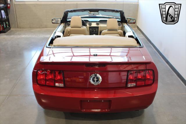 used 2009 Ford Mustang car, priced at $19,500