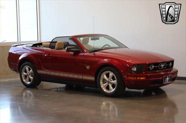 used 2009 Ford Mustang car, priced at $19,500