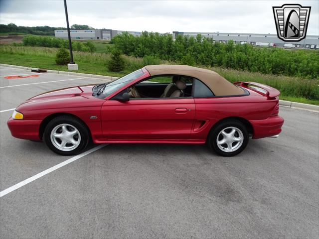 used 1995 Ford Mustang car, priced at $12,500