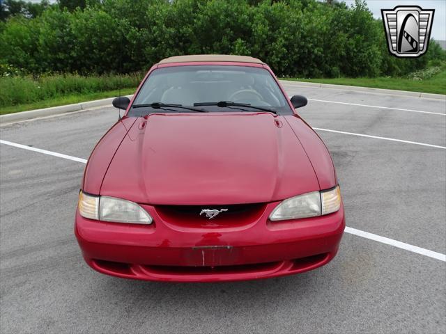 used 1995 Ford Mustang car, priced at $12,500