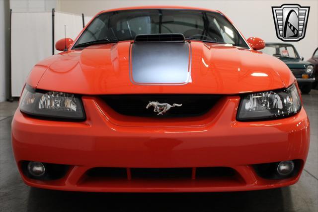 used 2004 Ford Mustang car, priced at $29,000