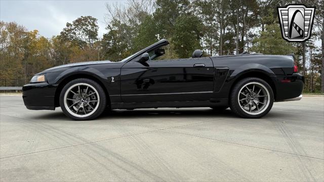 used 2003 Ford Mustang car, priced at $34,000