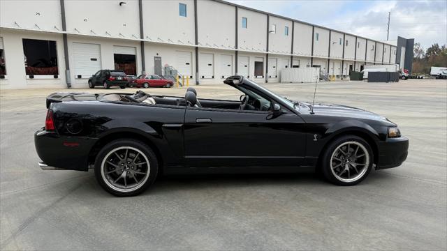 used 2003 Ford Mustang car, priced at $34,000