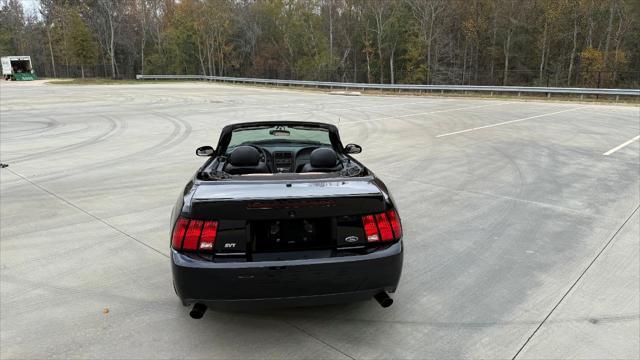 used 2003 Ford Mustang car, priced at $34,000