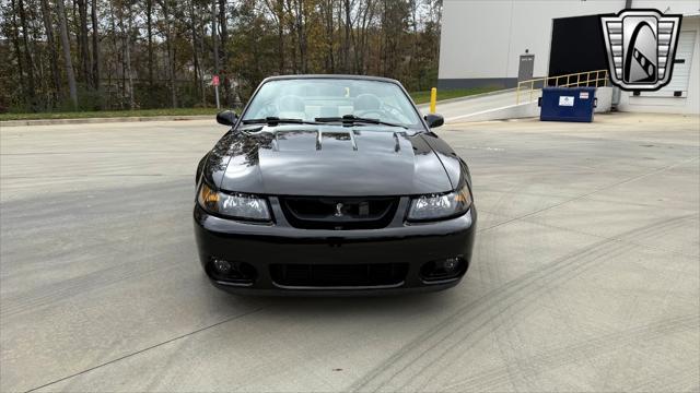 used 2003 Ford Mustang car, priced at $34,000