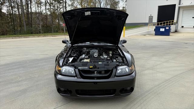 used 2003 Ford Mustang car, priced at $34,000