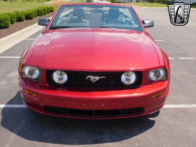 used 2006 Ford Mustang car, priced at $25,000