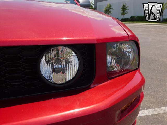 used 2006 Ford Mustang car, priced at $25,000