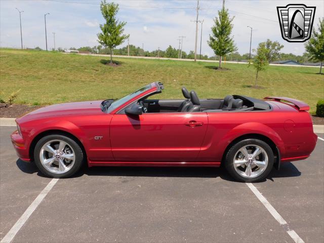 used 2006 Ford Mustang car, priced at $25,000