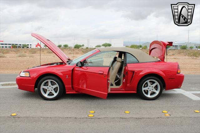 used 1999 Ford Mustang car, priced at $23,000