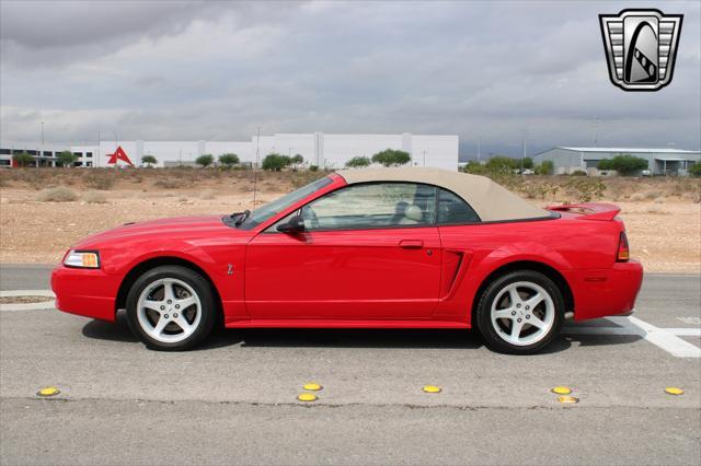 used 1999 Ford Mustang car, priced at $23,000