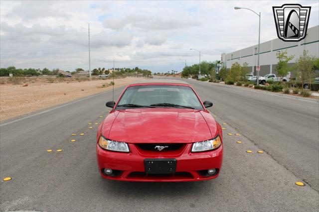 used 1999 Ford Mustang car, priced at $23,000