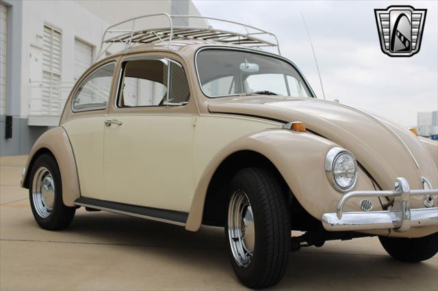 used 1967 Volkswagen Beetle (Pre-1980) car, priced at $29,000