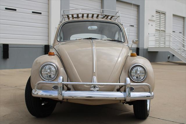 used 1967 Volkswagen Beetle (Pre-1980) car, priced at $29,000