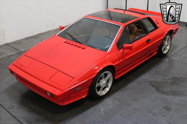 used 1985 Lotus Esprit car, priced at $33,000