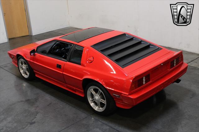 used 1985 Lotus Esprit car, priced at $33,000