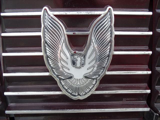 used 1981 Pontiac Firebird car, priced at $27,000