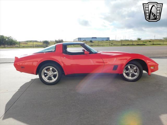 used 1981 Chevrolet Corvette car, priced at $22,000