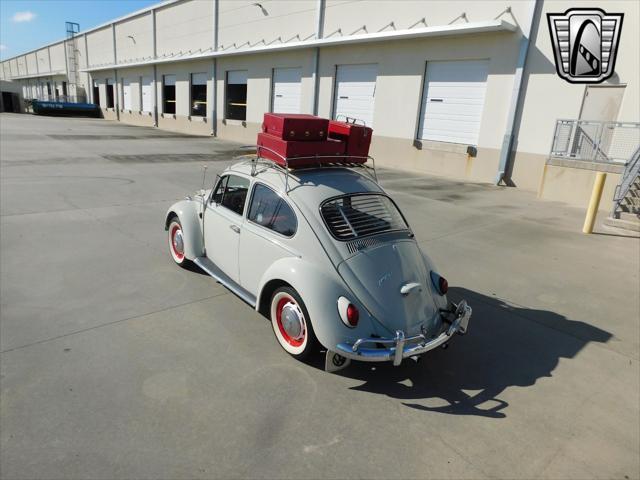 used 1966 Volkswagen Beetle (Pre-1980) car, priced at $36,000