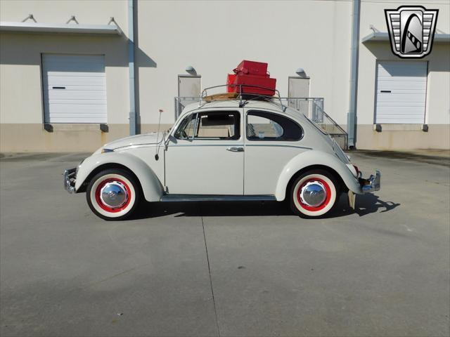 used 1966 Volkswagen Beetle (Pre-1980) car, priced at $36,000