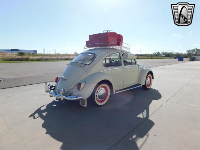 used 1966 Volkswagen Beetle (Pre-1980) car, priced at $36,000