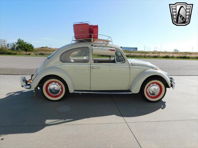 used 1966 Volkswagen Beetle (Pre-1980) car, priced at $36,000