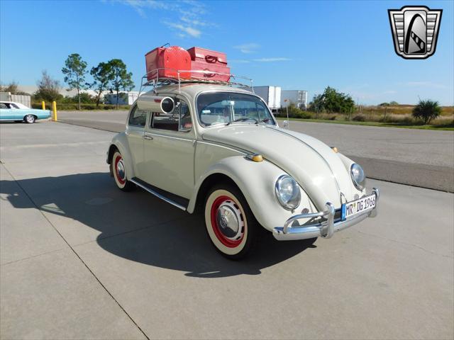 used 1966 Volkswagen Beetle (Pre-1980) car, priced at $36,000