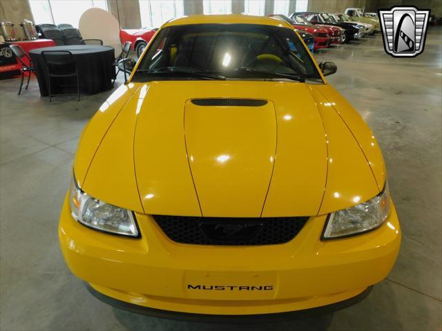 used 1999 Ford Mustang car, priced at $20,000